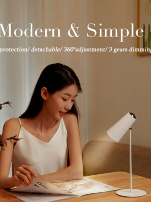 D9 Sunset Desk Lamp, a modern, creative, detachable LED desk lamp with rechargeable battery and wireless charging function; eye-friendly design